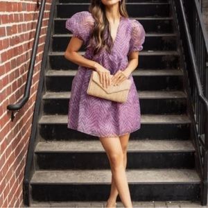 Endless Rose organza zebra babydoll dress